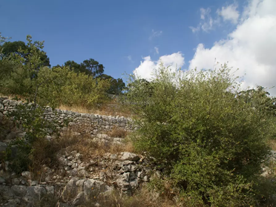 Immagine 10 di Terreno in vendita  a Modica