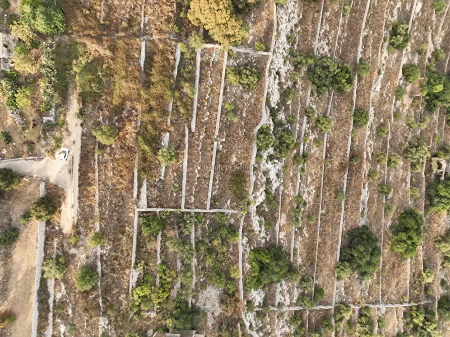 Immagine 21 di Terreno in vendita  a Modica