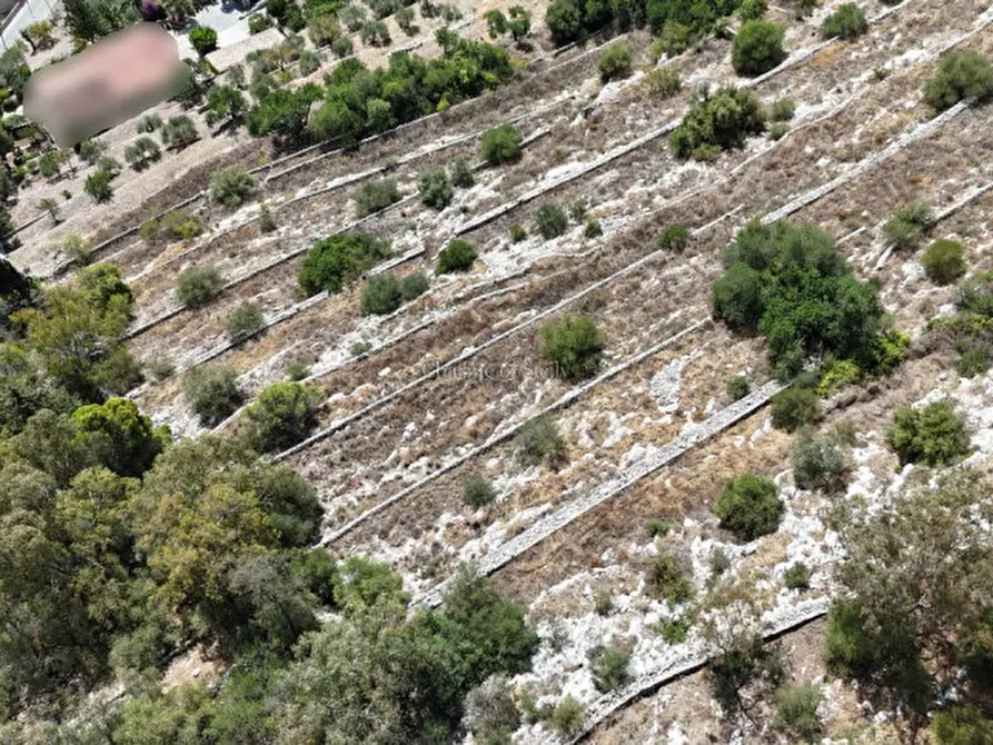 Immagine 27 di Terreno in vendita  a Modica