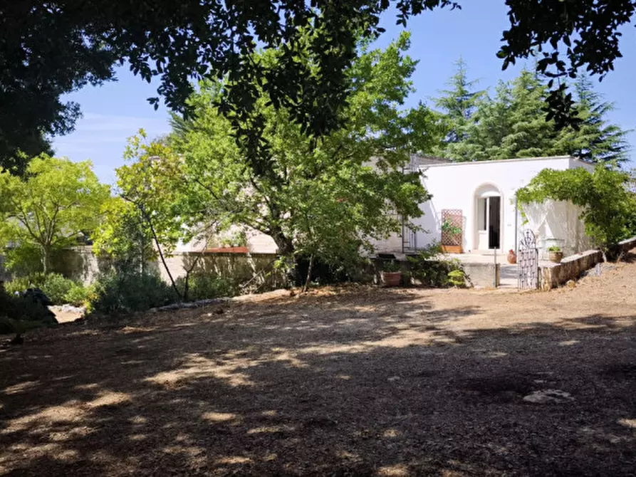 Immagine 4 di Villa in vendita  in VITI a Fasano