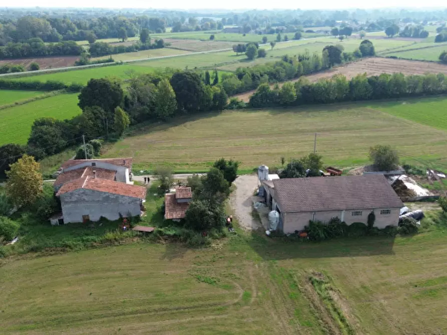 Immagine 3 di Casa indipendente in vendita  a Volta Mantovana