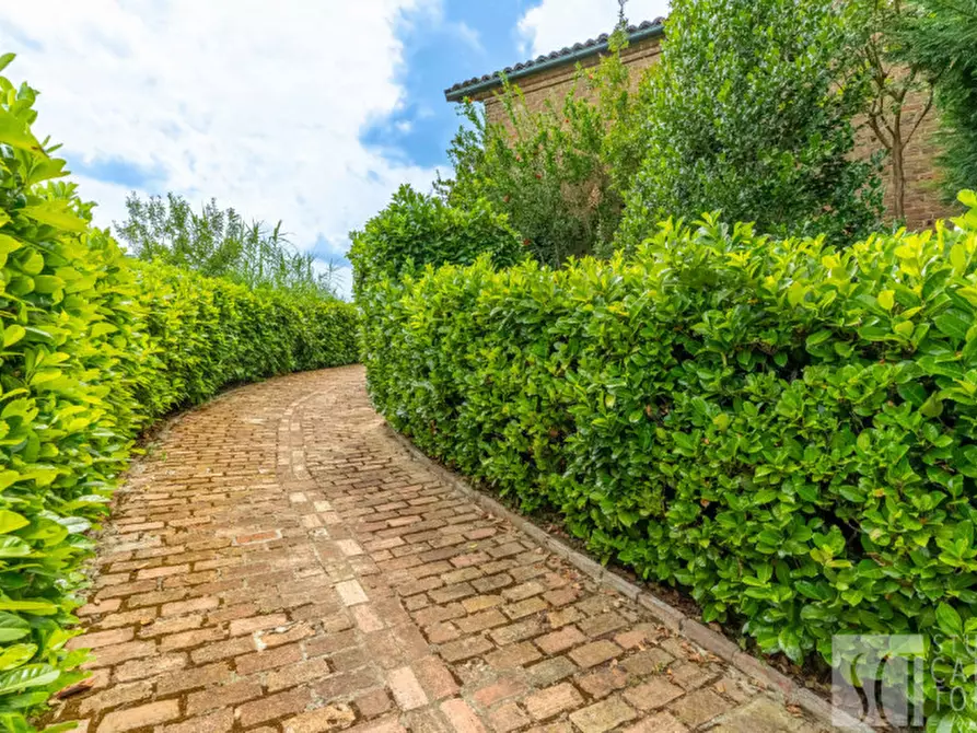 Immagine 60 di Casa indipendente in vendita  in Stazione Portacomaro a Asti
