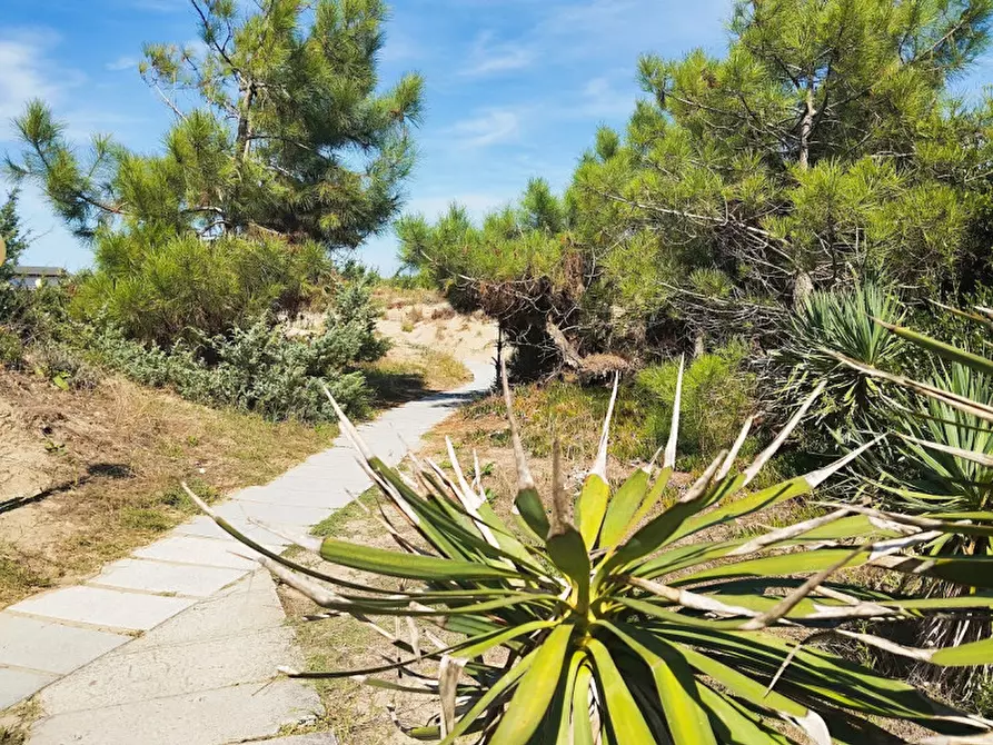 Immagine 17 di Appartamento in affitto  in Vle del Tirreno 74 a Pisa