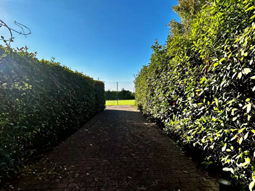 Immagine 33 di Casa quadrifamiliare in vendita  in Via Canale Naviglio a Bastiglia