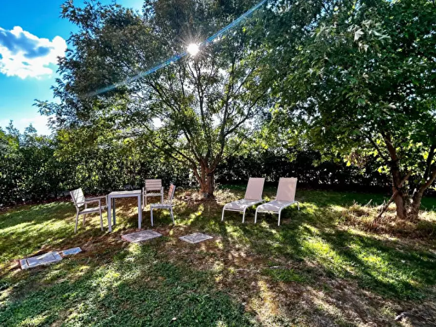 Immagine 37 di Casa quadrifamiliare in vendita  in Via Canale Naviglio a Bastiglia