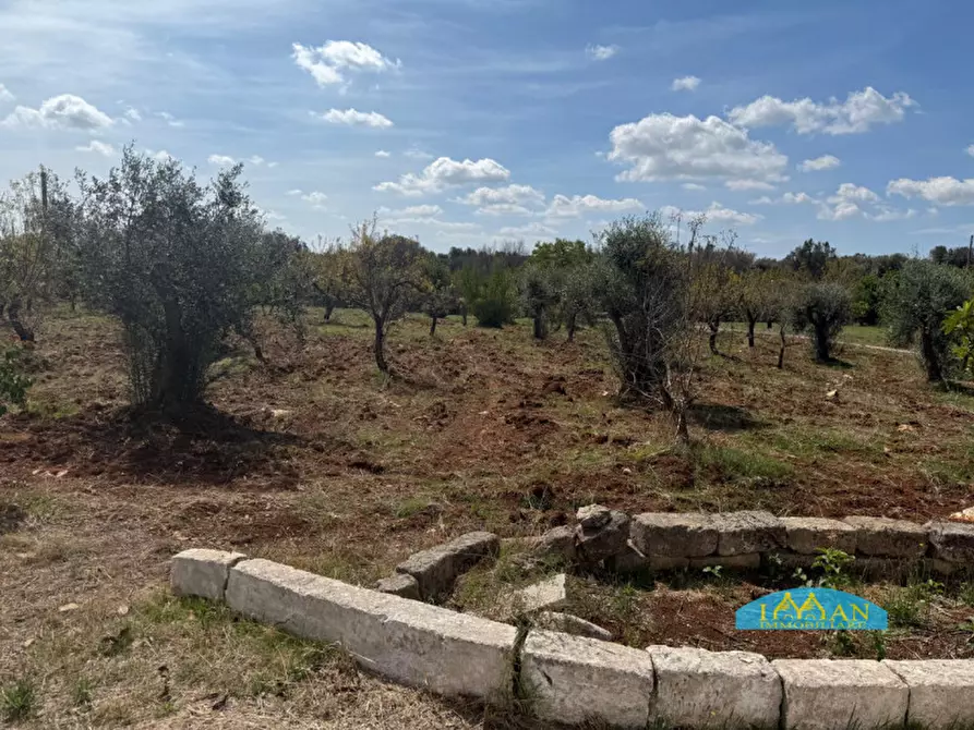 Immagine 15 di Rustico / casale in vendita  in Contrada Votano Russo a Ceglie Messapico