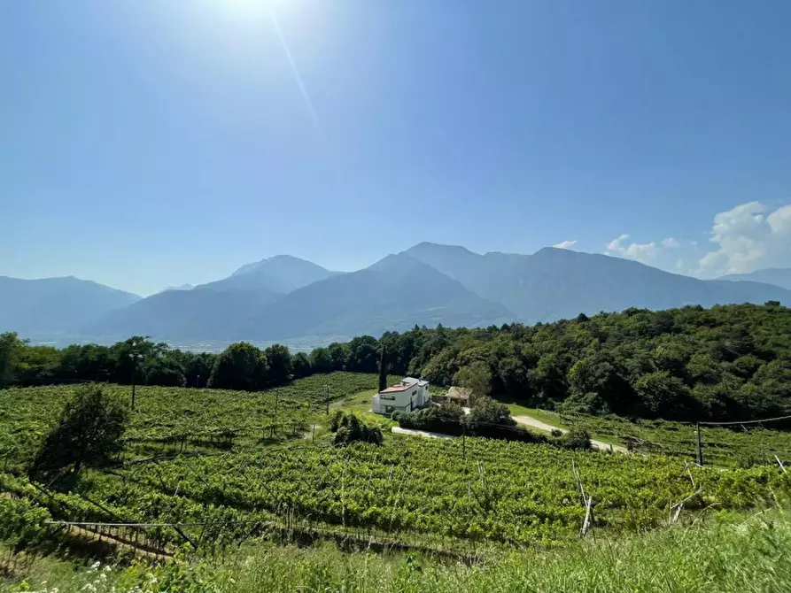 Immagine 6 di Casa indipendente in vendita  in Via Pianizza a Trento