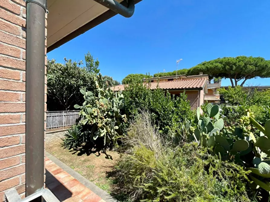 Immagine 24 di Casa indipendente in vendita  in Via Isola di Caprera a Follonica