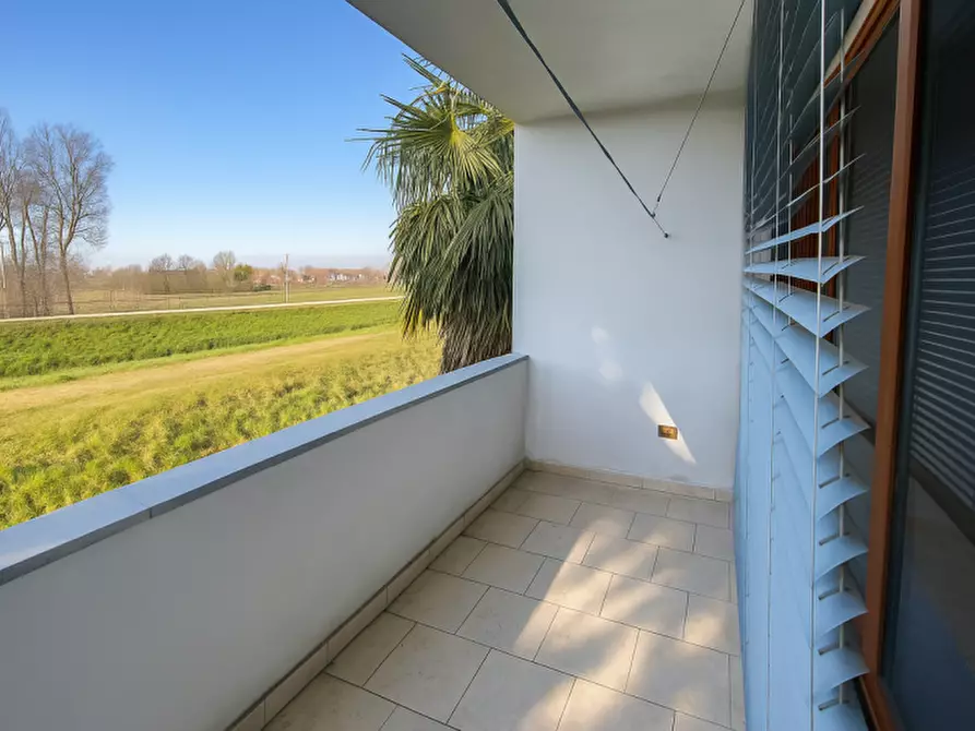 Immagine 5 di Appartamento in vendita  in via antoniana 119 a Campodarsego