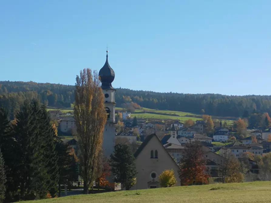 Immagine 11 di Appartamento in vendita  a Sarnonico