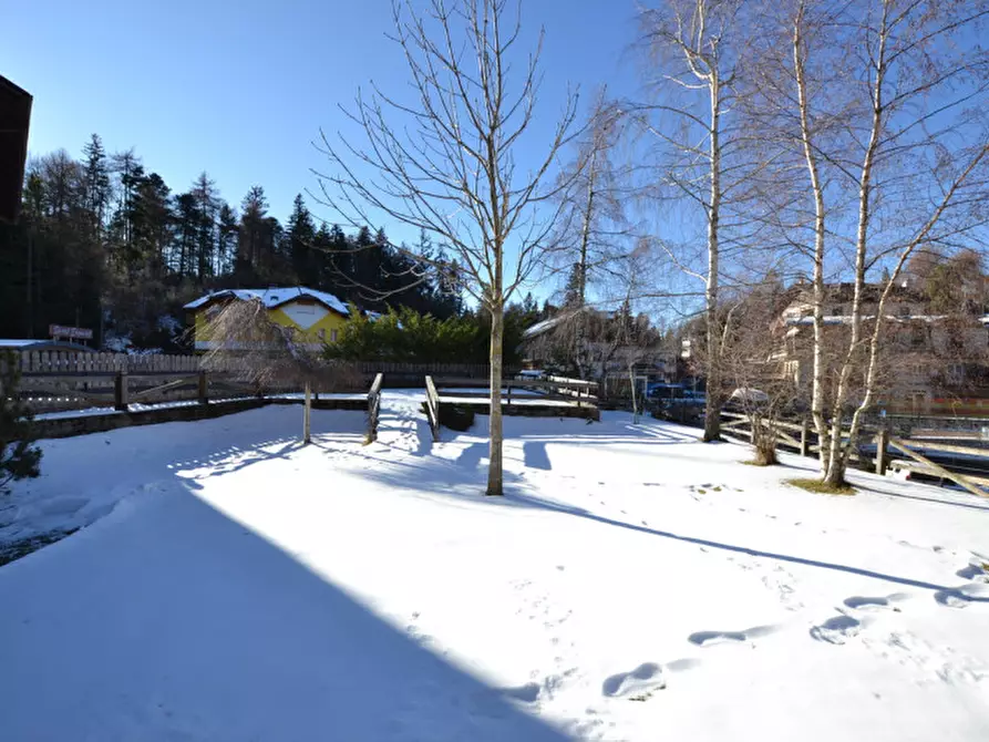 Immagine 10 di Attività commerciale in vendita  a Cavareno