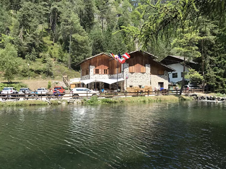 Immagine 1 di Attività commerciale in vendita  a Borgo D'anaunia