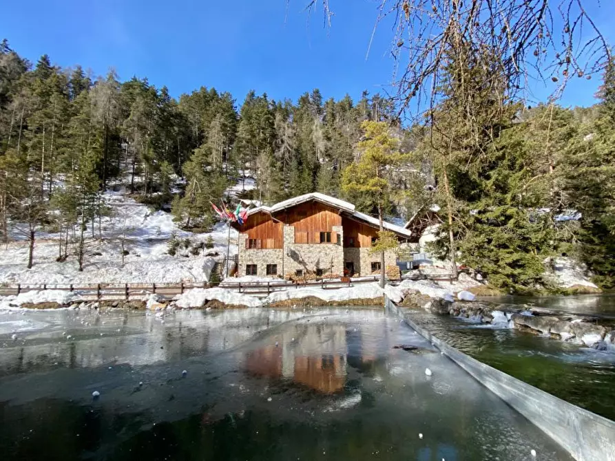 Immagine 2 di Attività commerciale in vendita  a Borgo D'anaunia