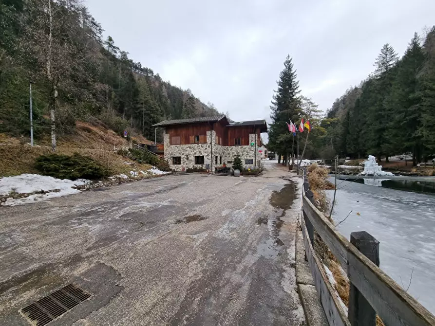 Immagine 3 di Attività commerciale in vendita  a Borgo D'anaunia