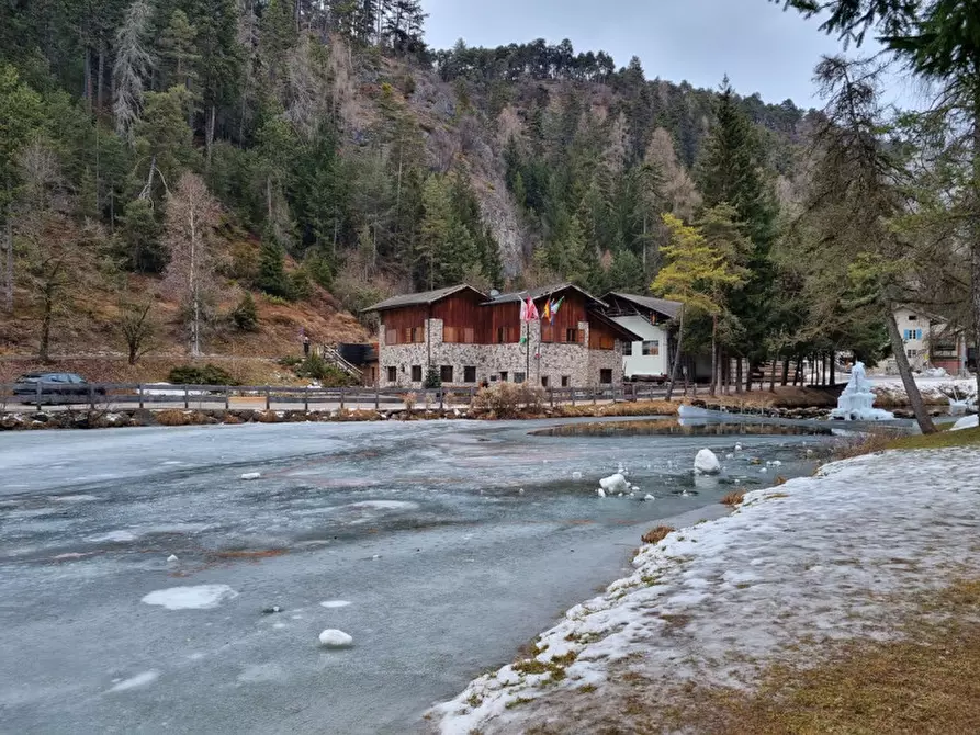 Immagine 4 di Attività commerciale in vendita  a Borgo D'anaunia