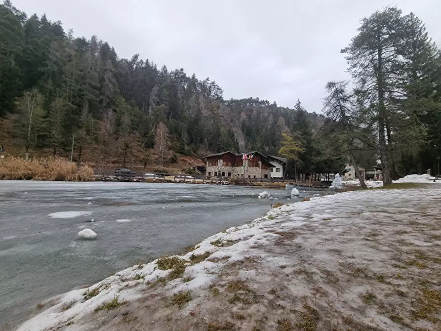 Immagine 5 di Attività commerciale in vendita  a Borgo D'anaunia