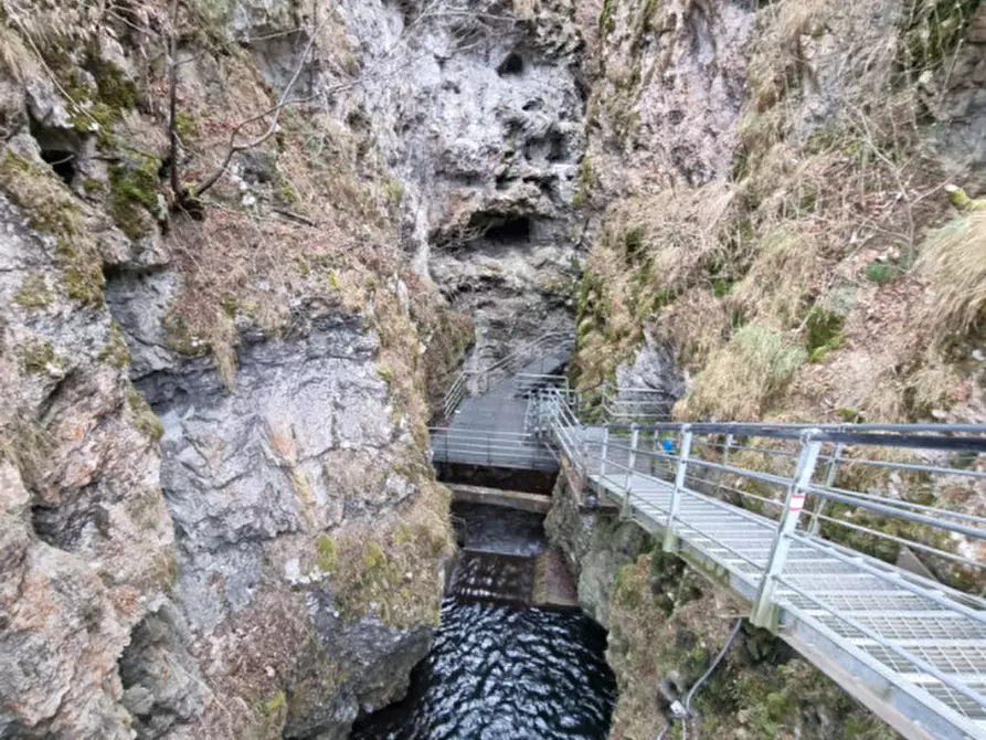 Immagine 6 di Attività commerciale in vendita  a Borgo D'anaunia