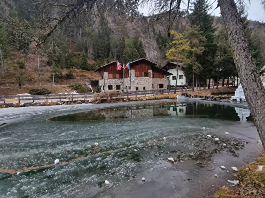 Immagine 7 di Attività commerciale in vendita  a Borgo D'anaunia