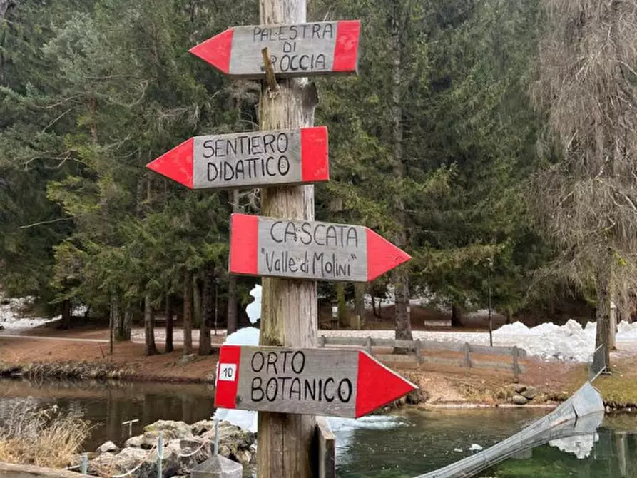 Immagine 15 di Attività commerciale in vendita  a Borgo D'anaunia