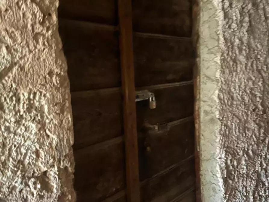 Immagine 16 di Appartamento in vendita  a Cavareno