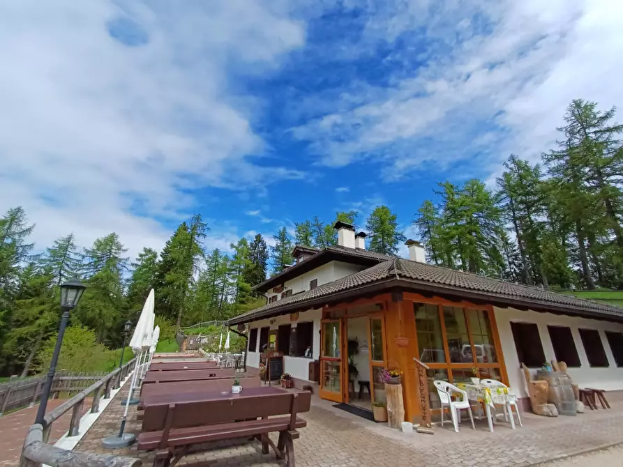 Immagine 1 di Attività commerciale in vendita  a Cavareno