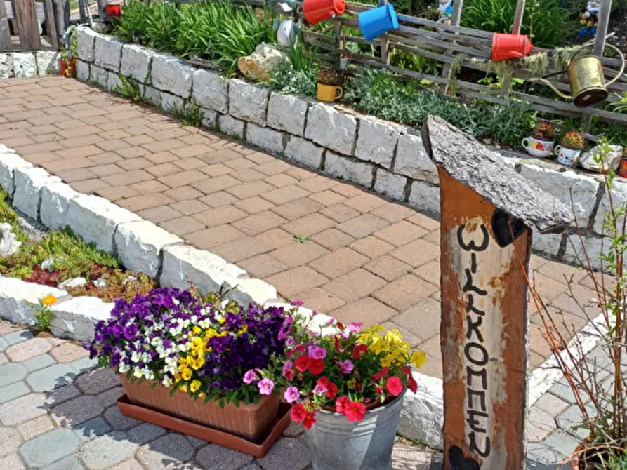 Immagine 3 di Attività commerciale in vendita  a Cavareno