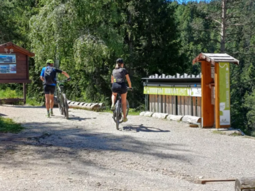 Immagine 4 di Attività commerciale in vendita  a Cavareno