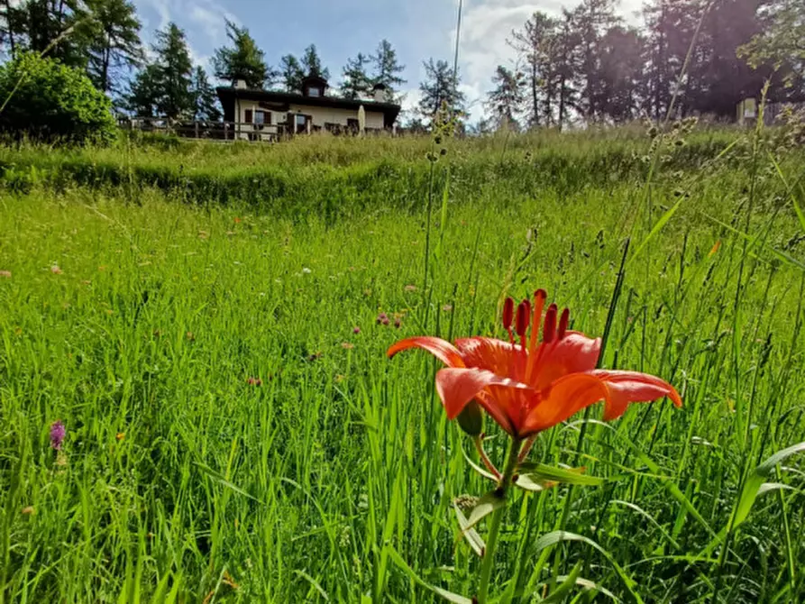 Immagine 5 di Attività commerciale in vendita  a Cavareno