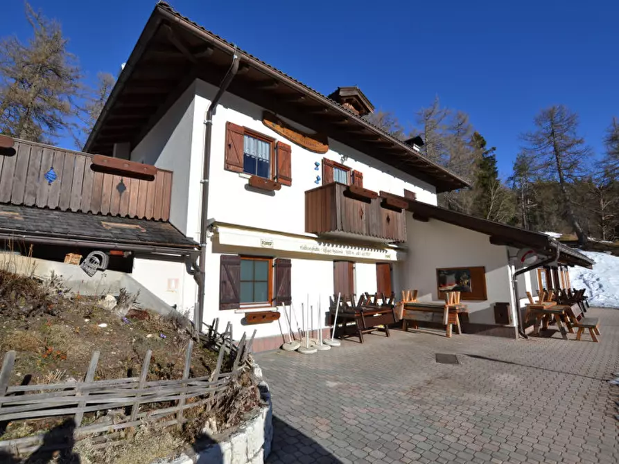 Immagine 7 di Attività commerciale in vendita  a Cavareno