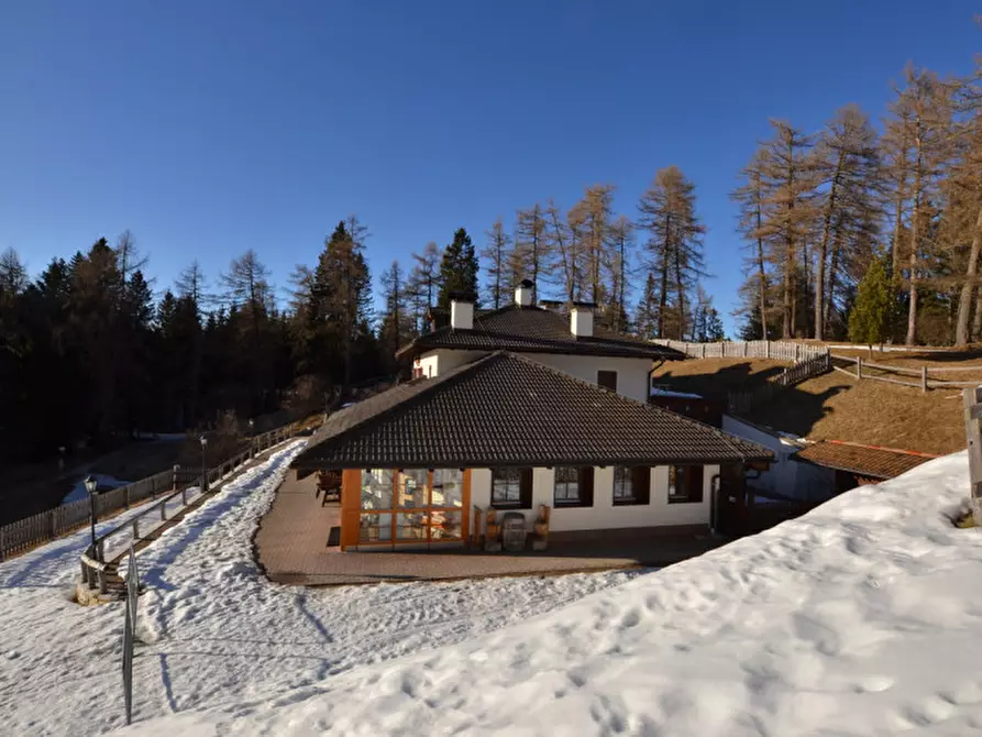 Immagine 8 di Attività commerciale in vendita  a Cavareno