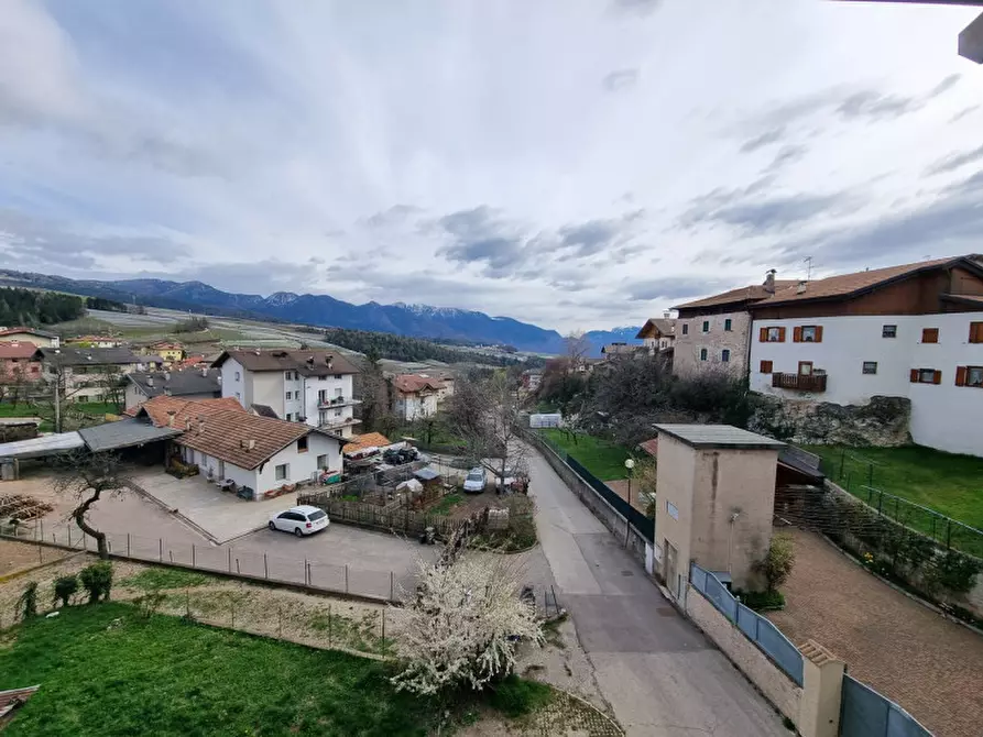 Immagine 6 di Appartamento in vendita  a Predaia