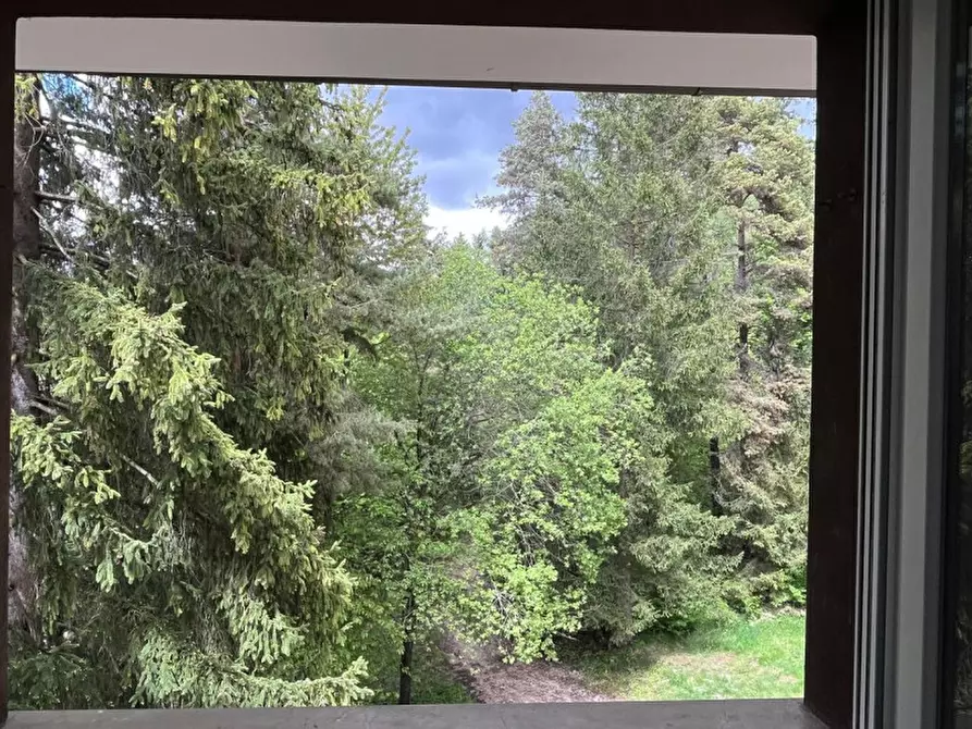 Immagine 3 di Monolocale in vendita  a Ronzone