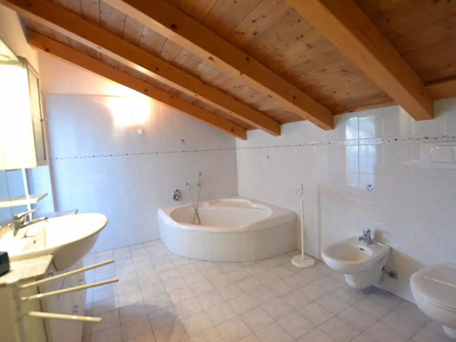 Immagine 21 di Villa in vendita  a Borgo D'anaunia