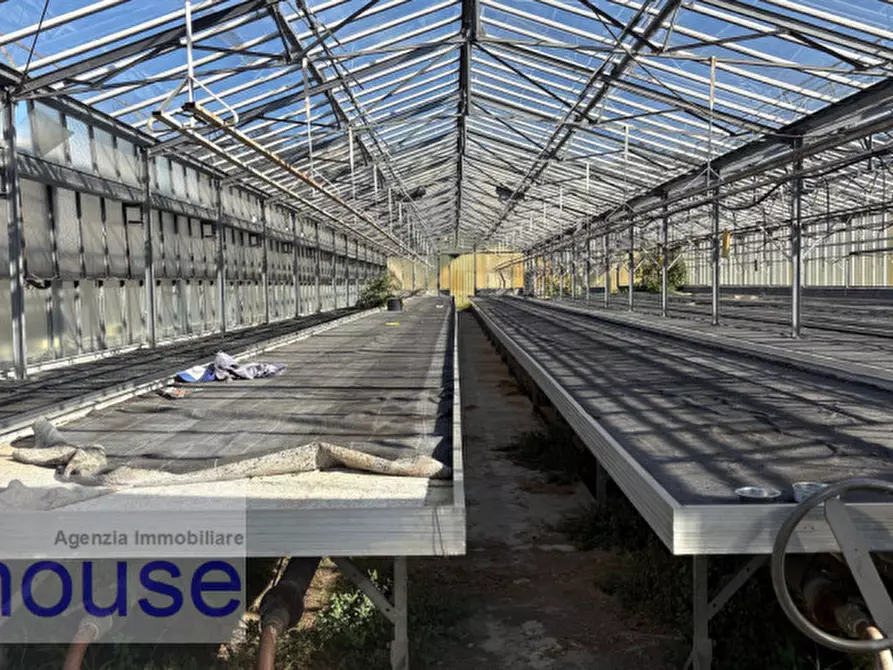 Immagine 1 di Terreno in vendita  a Vigliano Biellese