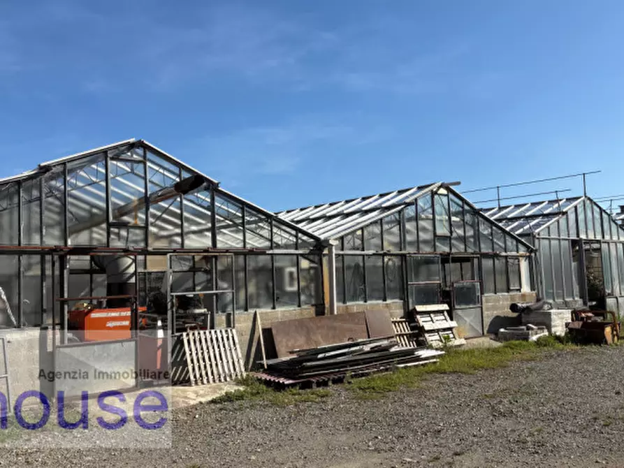 Immagine 2 di Terreno in vendita  a Vigliano Biellese