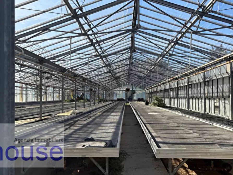 Immagine 3 di Terreno in vendita  a Vigliano Biellese