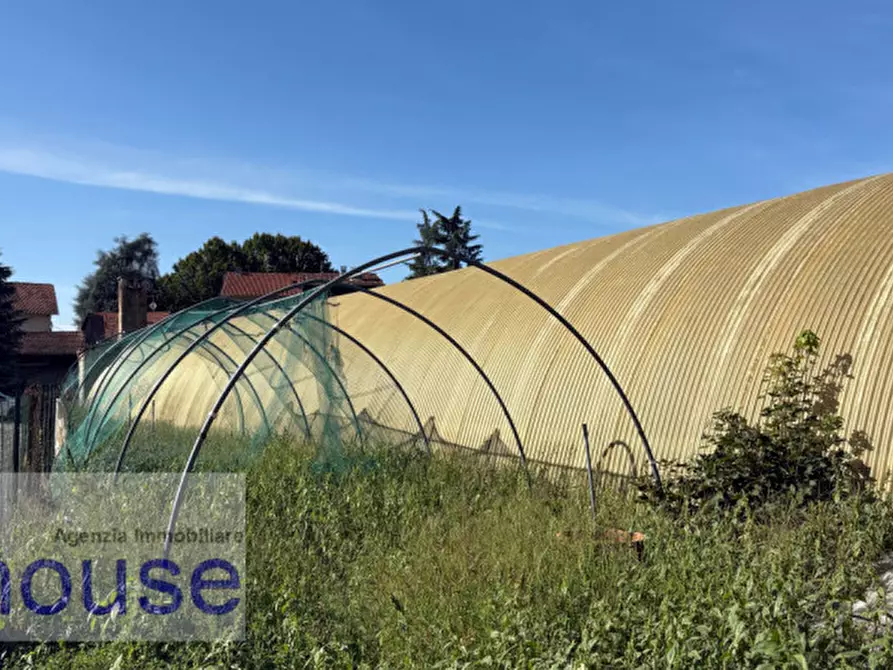 Immagine 5 di Terreno in vendita  a Vigliano Biellese