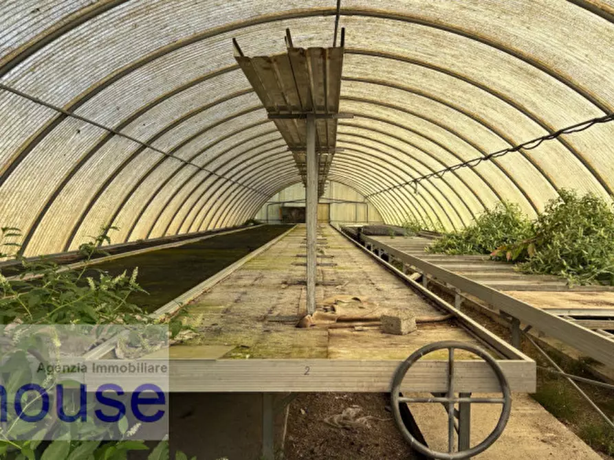 Immagine 7 di Terreno in vendita  a Vigliano Biellese