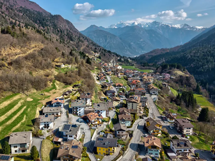 Immagine 22 di Appartamento in vendita  a Sella Giudicarie