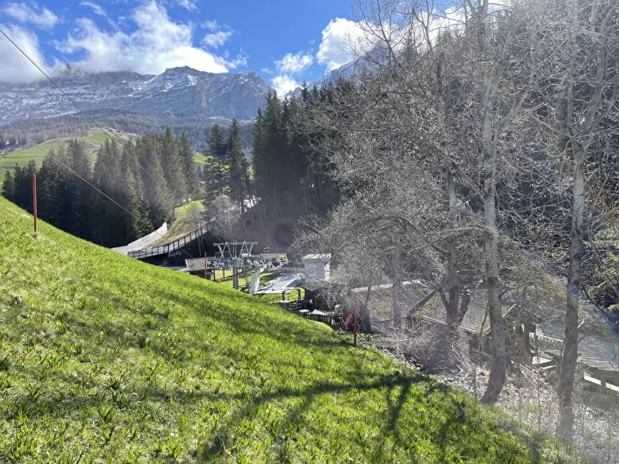 Immagine 3 di Attività commerciale in vendita  in Loc. La Rua a Badia .Abtei.