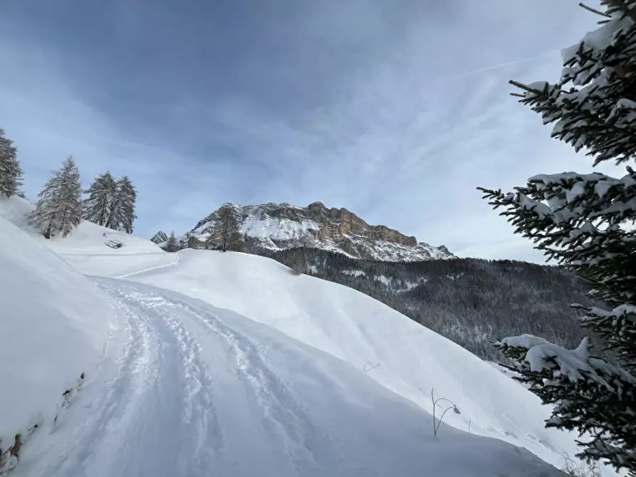 Immagine 2 di Rustico / casale in vendita  in Armentara a Badia .Abtei.