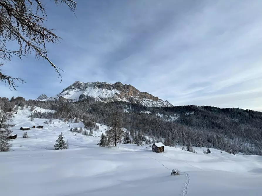 Immagine 3 di Rustico / casale in vendita  in Armentara a Badia .Abtei.