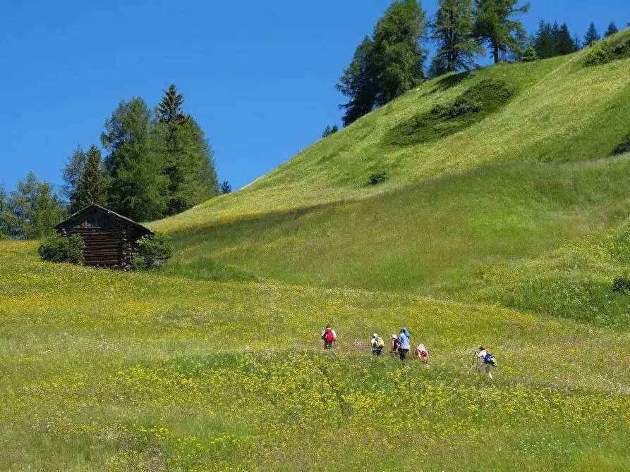 Immagine 4 di Rustico / casale in vendita  in Armentara a Badia .Abtei.