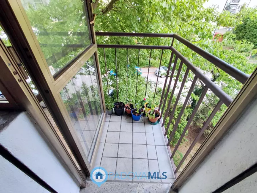 Immagine 6 di Appartamento in vendita  in Via Francesco Dorighello a Padova