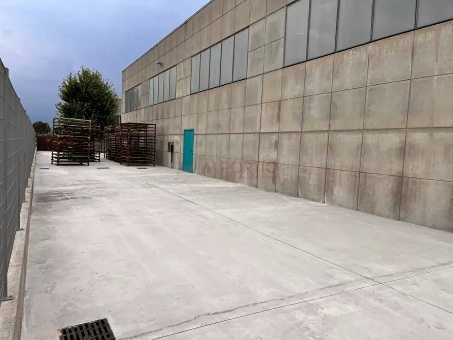 Immagine 1 di Capannone industriale in affitto  in via g. galilei a Codevigo