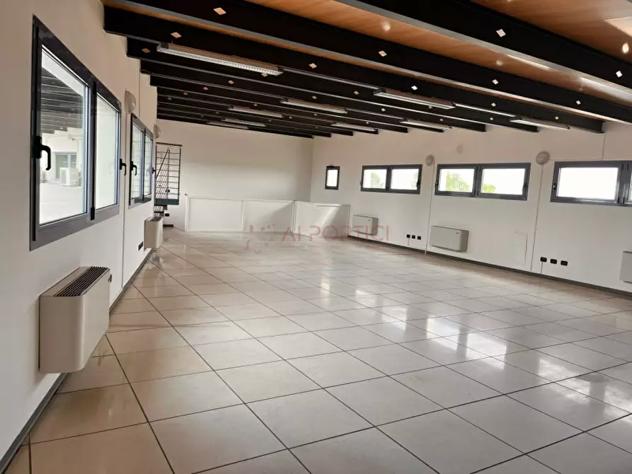 Immagine 12 di Capannone industriale in affitto  in via g. galilei a Codevigo