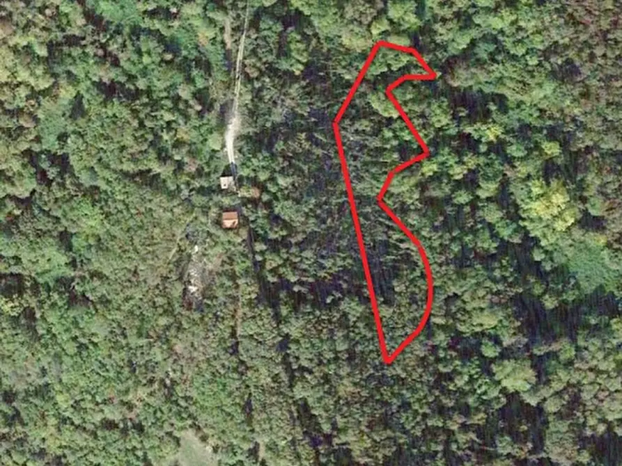 Immagine 1 di Terreno in vendita  in Via San Valentino a Segusino