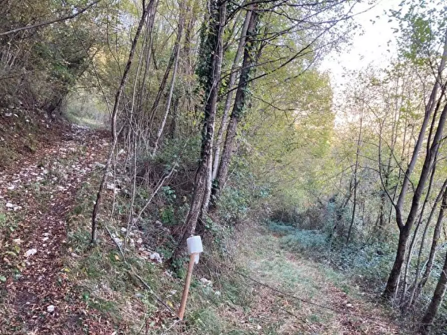 Immagine 3 di Terreno in vendita  in Via San Valentino a Segusino