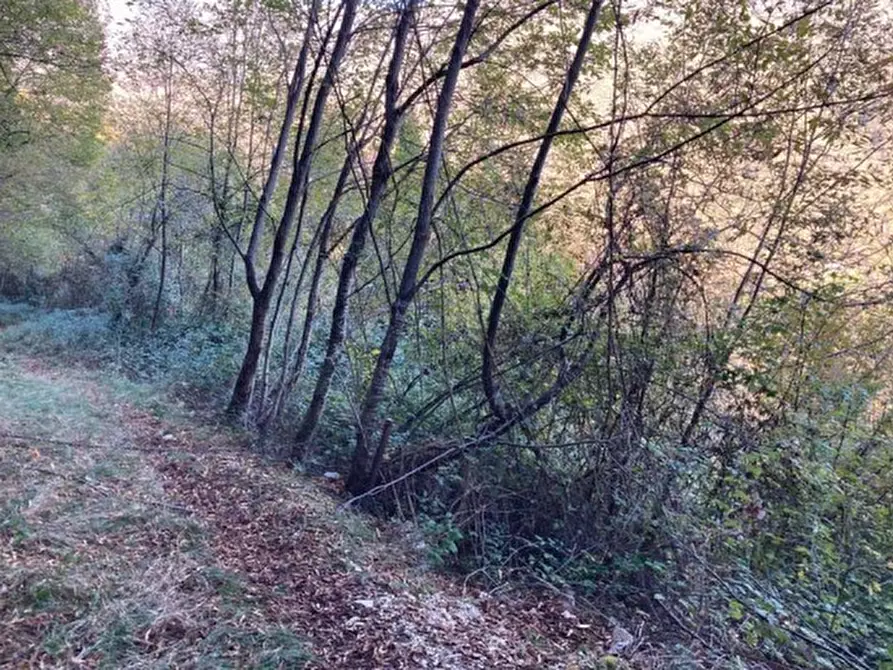 Immagine 4 di Terreno in vendita  in Via San Valentino a Segusino