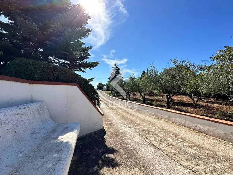 Immagine 35 di Villa in vendita  in Strada Casette del Vento 5 a Martina Franca